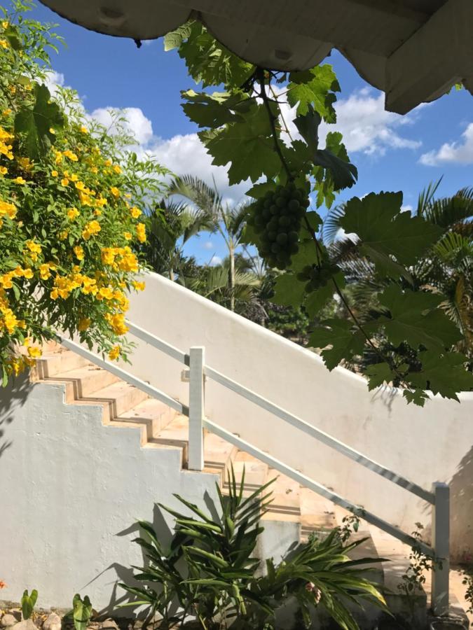 Pousada Papaya Jijoca de Jericoacoara Exteriör bild
